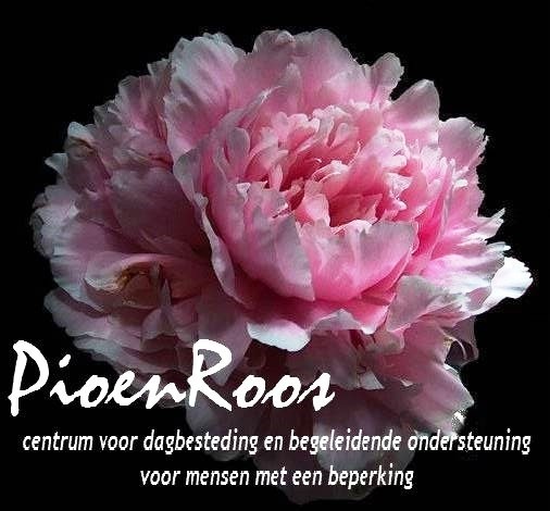 pioenroos afbeelding